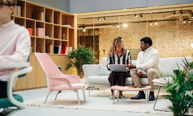 Skills and Virtual Work Experience