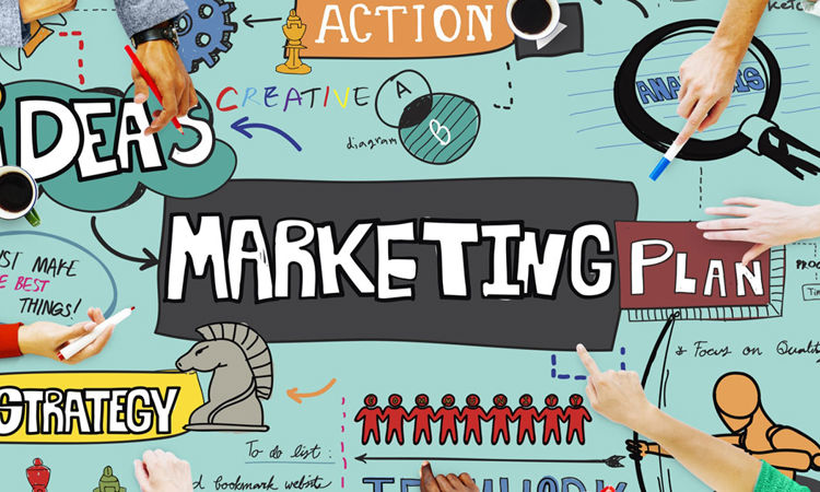 Marketing & Prospectus Support