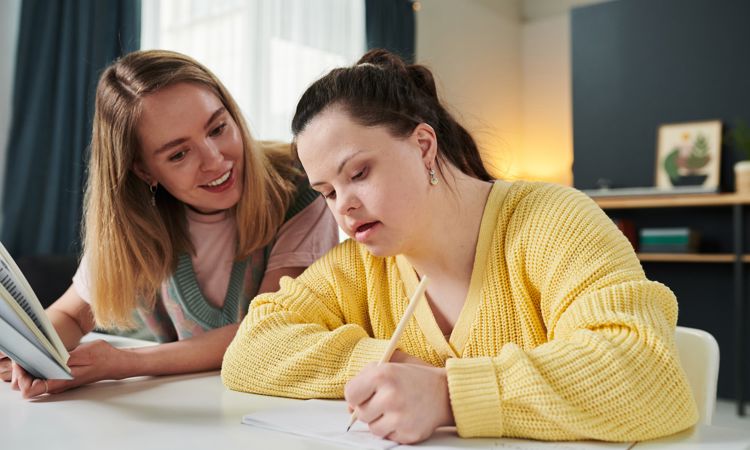 Alternative Provision Lists